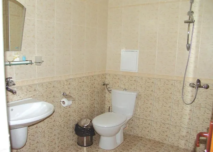 Отель Buena Vissta 3*